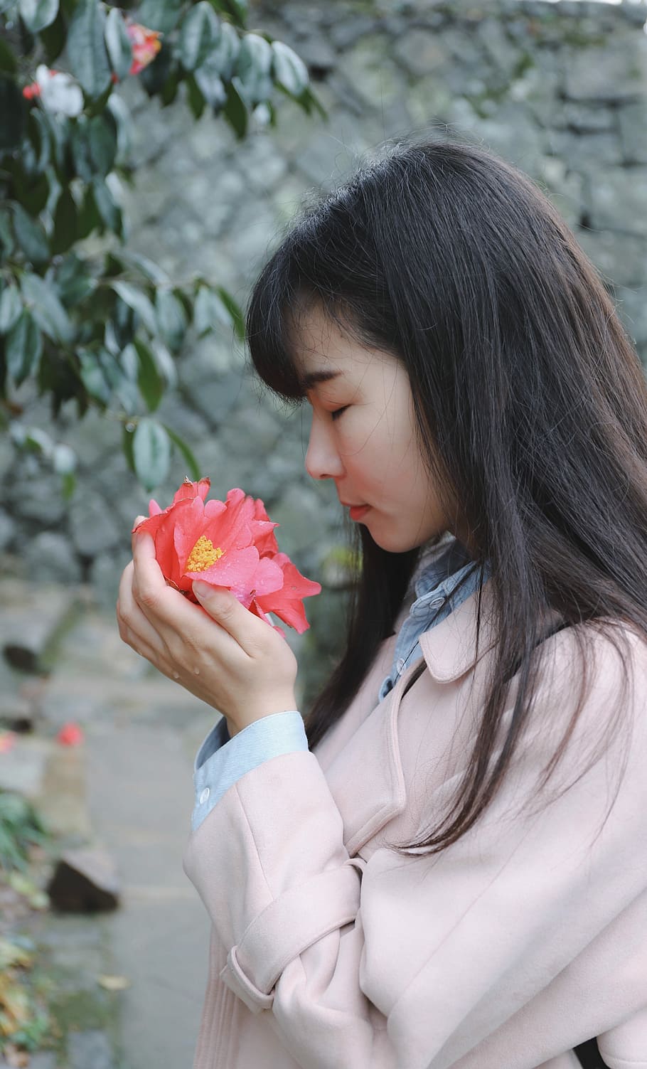 woman sniffing flower on her hands, woman smelling and holding pink camellia flower