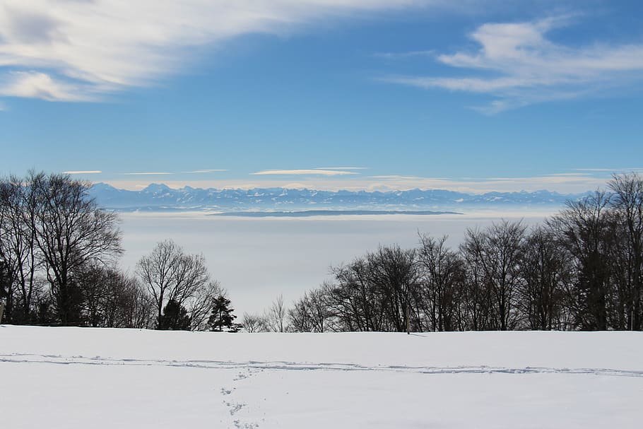 winter, snow, landscape, cold temperature, sky, scenics - nature HD wallpaper