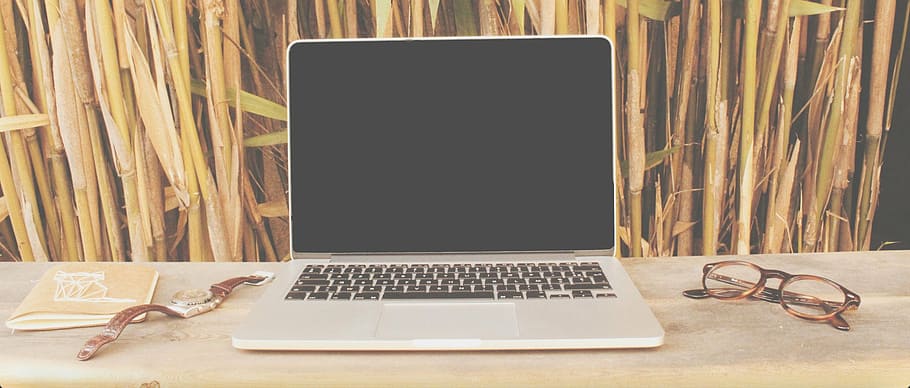 bamboo, business, computer, connection, contemporary, daylight HD wallpaper