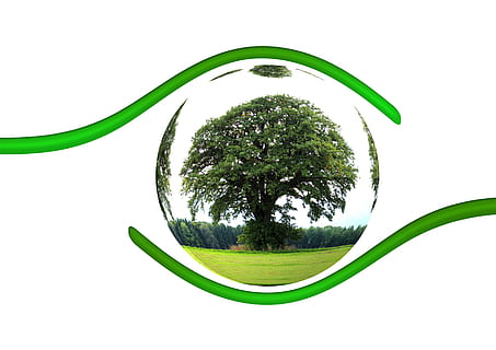 green tree painting, ecology, protection, responsibility, globe HD wallpaper
