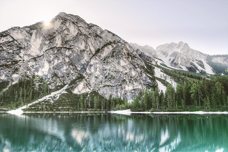 mountains, nature, forest, trees, clear sky, daylight, environment HD wallpaper