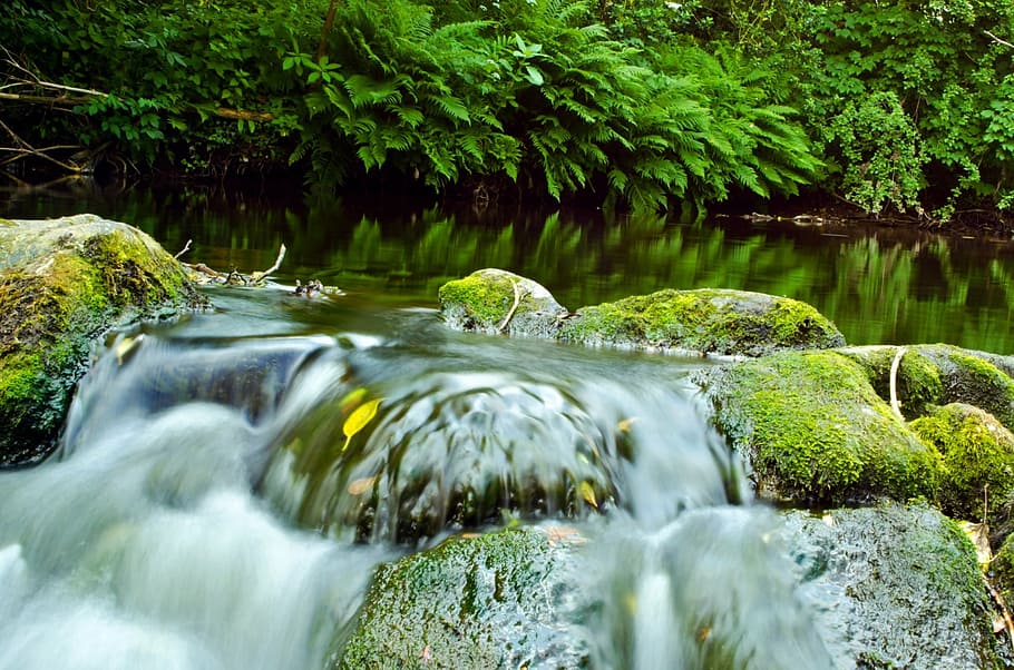 water, river, speed, current, element, stones, wet, leaf, algae HD wallpaper