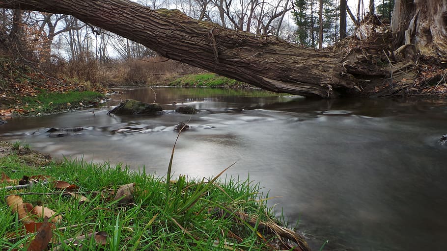 stream, water, river, rocks, nature, grass, green, plant, leaf HD wallpaper