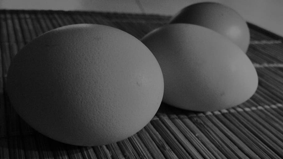 eggs, black and white, hens, food, animal Egg, easter, raw Food HD wallpaper