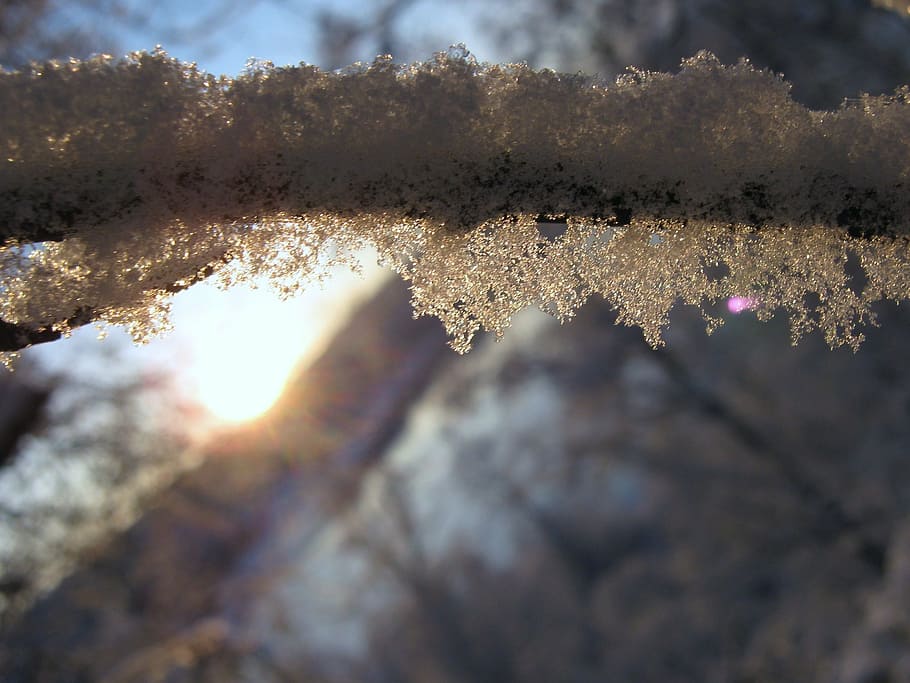 snow, frost, winter, sunset, sunlight, weather, nature, cold temperature HD wallpaper