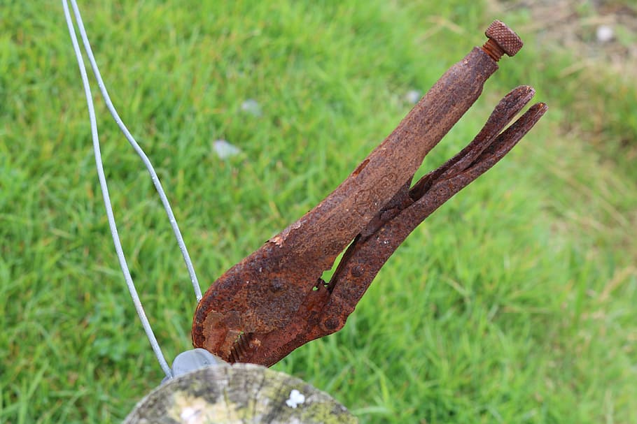 pliers, stainless, tool, weathered, old, plant, grass, focus on foreground HD wallpaper