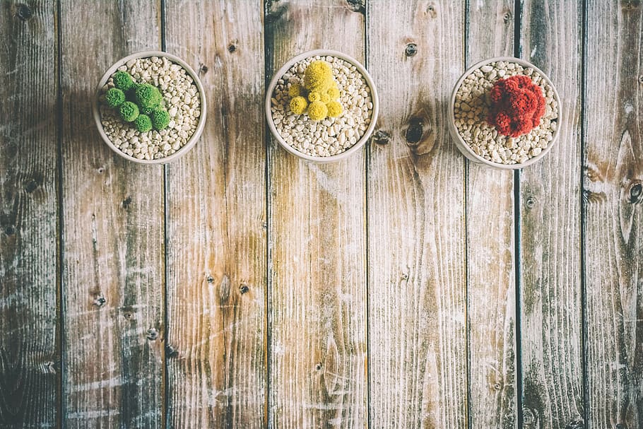 Potted plants on a wooden table, various, wood - Material, food HD wallpaper