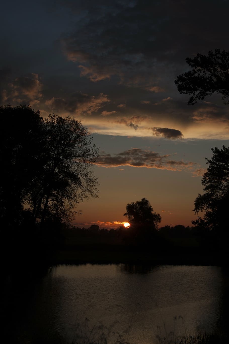 nature, sun, tree, water drops, netherlands, sunlight, colorful sunset HD wallpaper