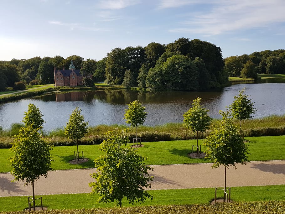 frederiksborg, lake, green, plant, tree, water, green color HD wallpaper