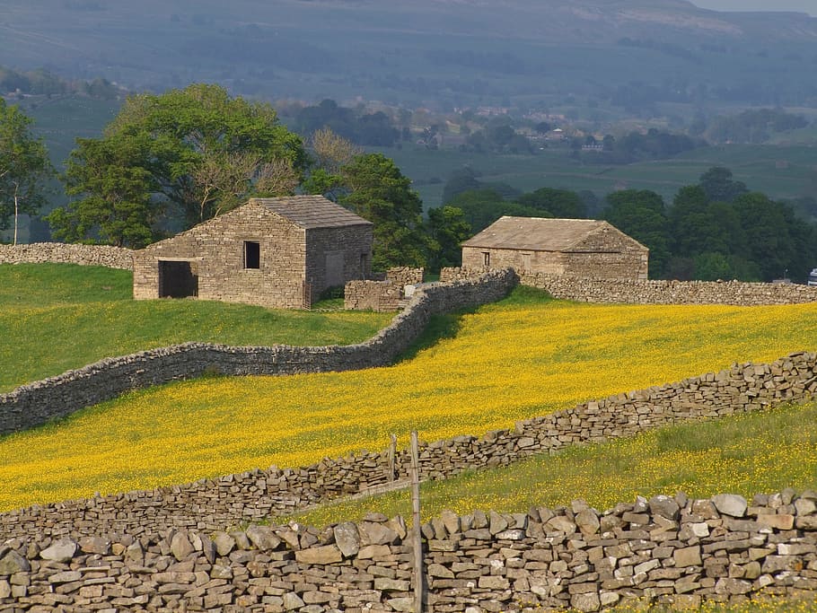 England, Great Britain, Landscape, fields, house, barn, forest HD wallpaper