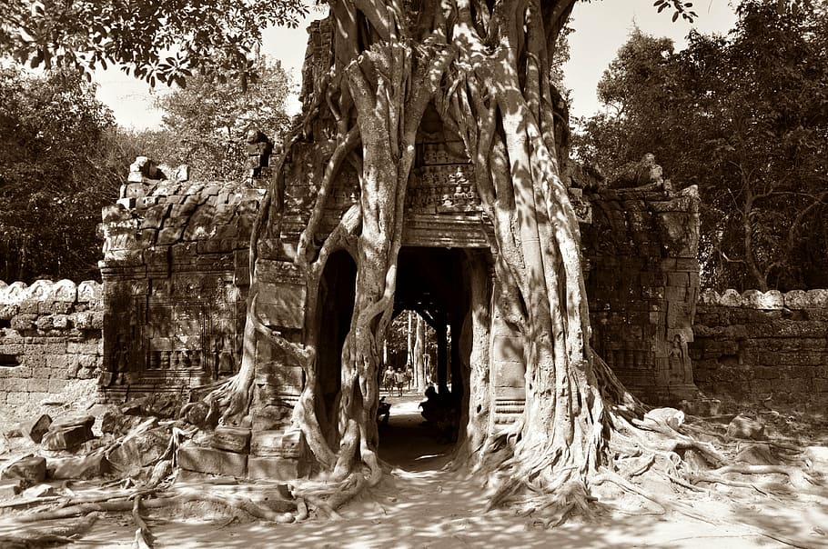 angkor wat, hinduism, faces, temple complex, history, sculpture HD wallpaper