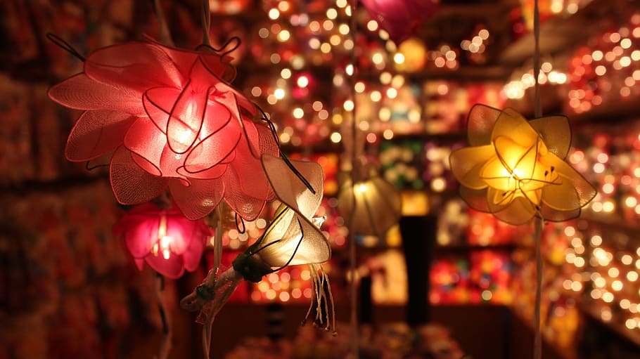 HD wallpaper: Lights, Flowers, Lamps, decoration, christmas ...