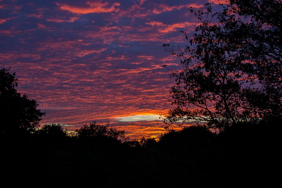 sunset, dramatic, h, sky, clouds, evening sky, dusk, atmosphere HD wallpaper