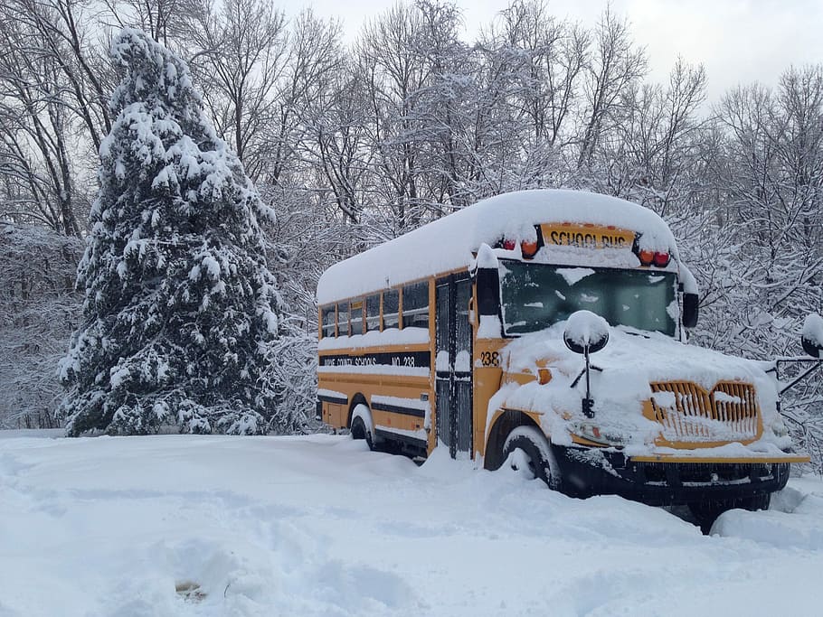 yellow school bus filled of snow, Winter, Snow, School, transportation