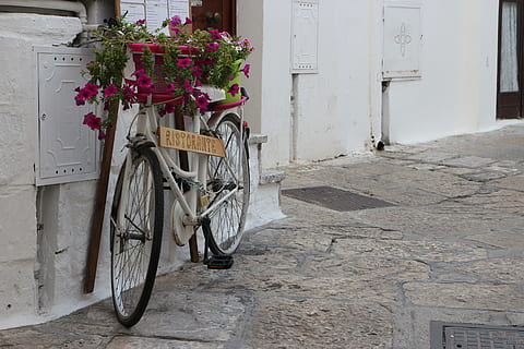 bicycle, restaurant, flowers, planter, summer, puglia, ostuni HD wallpaper