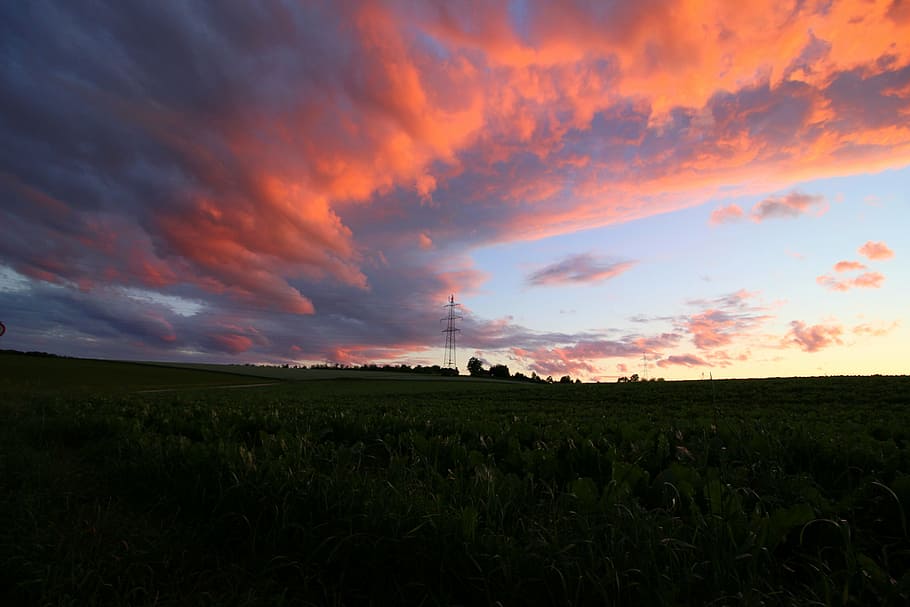 clouds, sky, meadow, clouds form, sunset, evening sky, landscape HD wallpaper