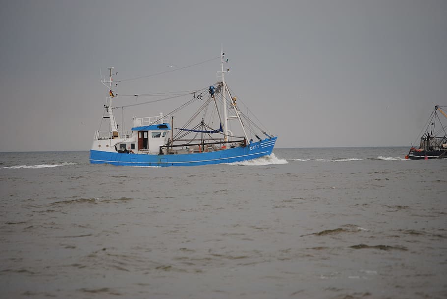 Fishing Vessel, Norderney, north sea, firscherboot, nautical Vessel, HD wallpaper