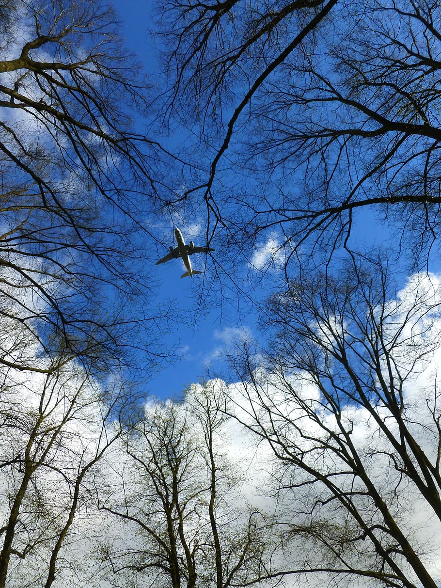 Aircraft, Clouds, Trees, Wing, sky, blue, aesthetic, sky blue, HD wallpaper