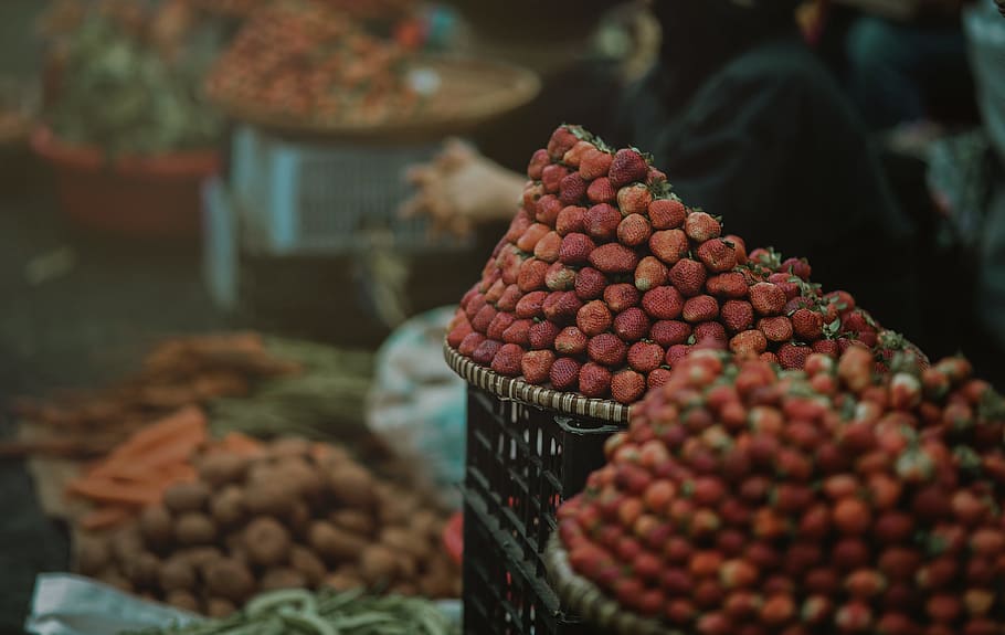 Strawberry Focus Photo, abundance, baskets, blur, Booth, delicious HD wallpaper