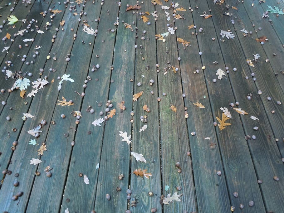 Deck, Acorn, Leaves, Oak, Fall, Autumn, nature, season, wood HD wallpaper
