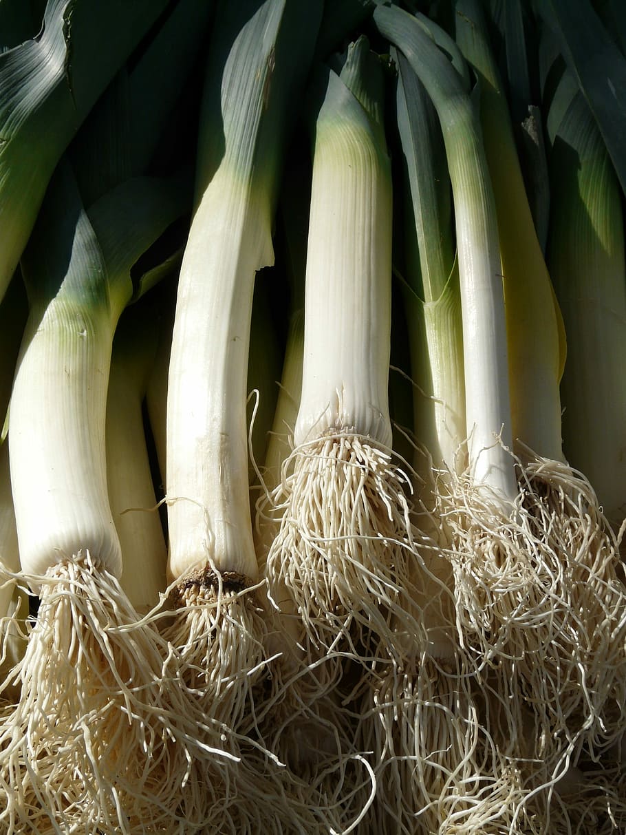 Leek, Vegetables, Root, Food, Vitamins, healthy, eat, food and drink HD wallpaper