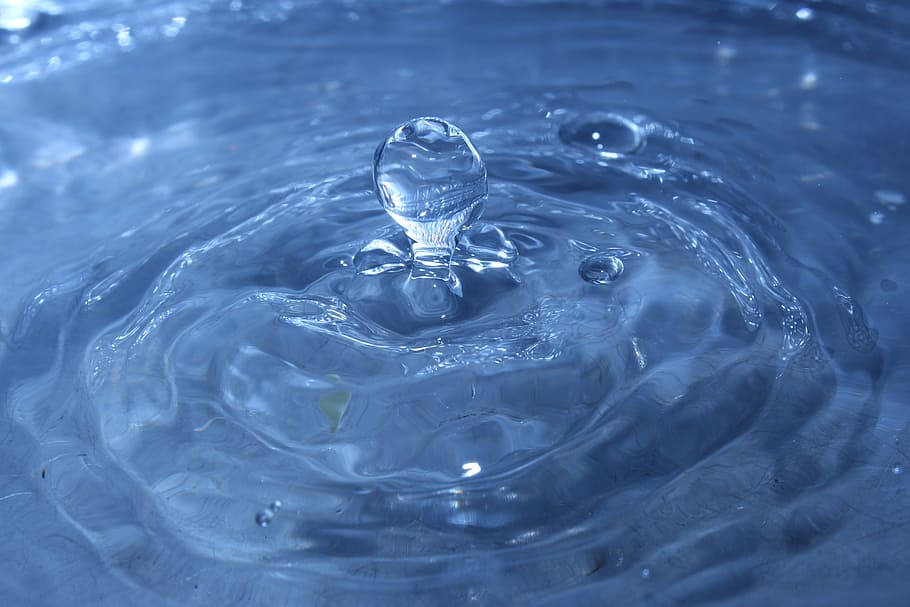 water, drop, single, life, motion, splashing, close-up, rippled HD wallpaper