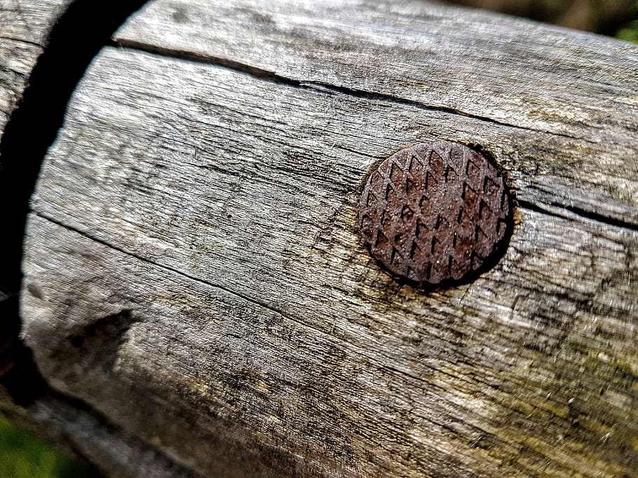 wood, nail, rusty, nature, stainless, rusted, wood - material HD wallpaper