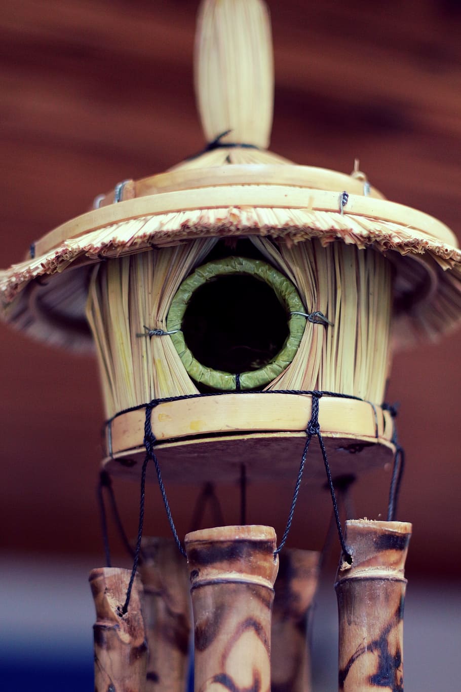 bird, socket, natural, naturale, bird's nest, home, focus on foreground HD wallpaper
