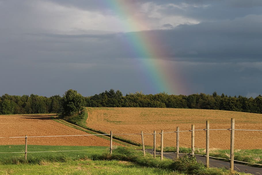 landscape photo, rainbow, sky, fields, rainbow colors, evening sun HD wallpaper