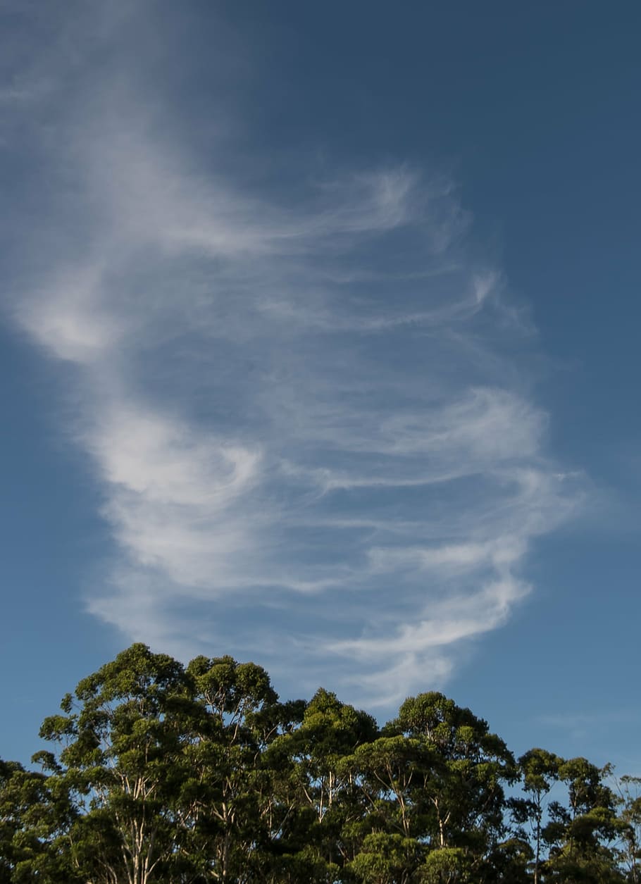 clouds, white, blue, fluffy, delicate, pattern, swirling, cork-screw HD wallpaper