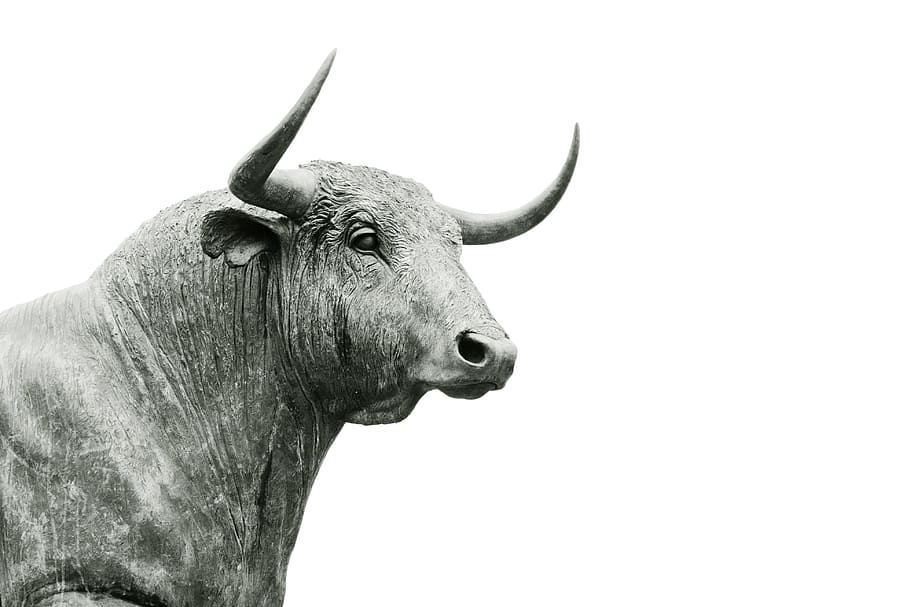 bull grayscale photo, statue of bull, gray scale, animal, horn