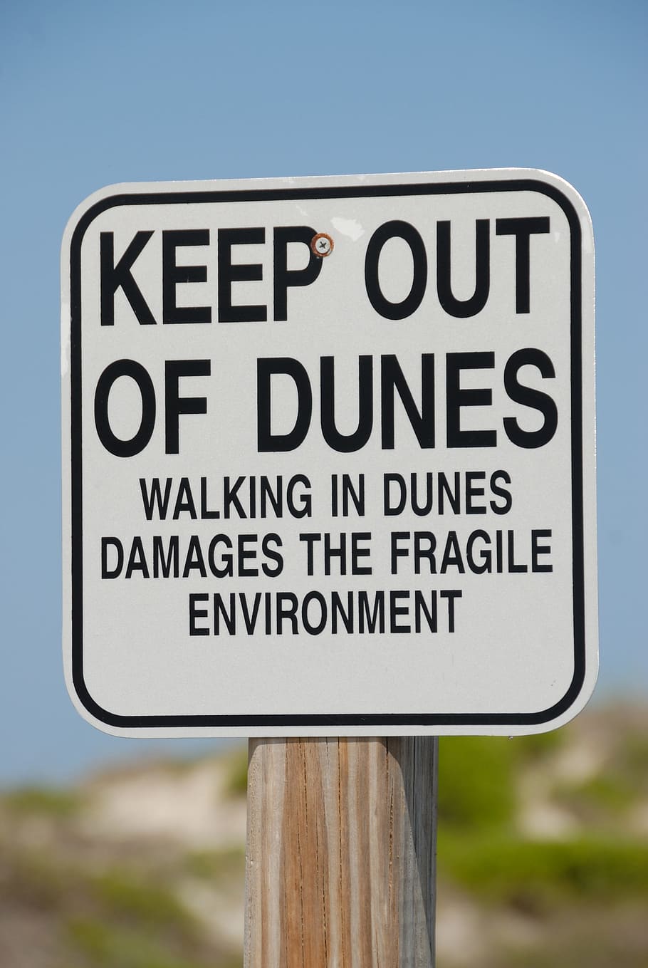 sand dune, sign, warning, protected, environment, beach, nature HD wallpaper