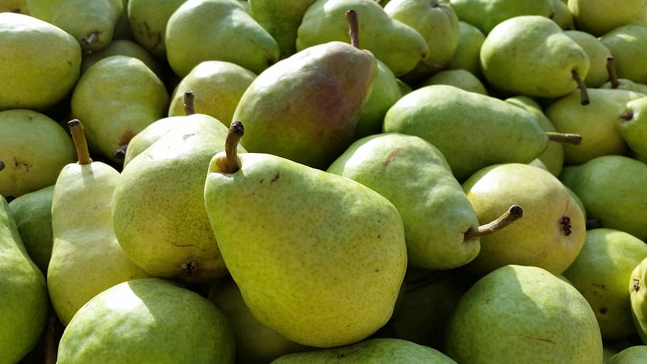 green pear lot, Bartlett Pear, Healthy, fruit, food, fresh HD wallpaper