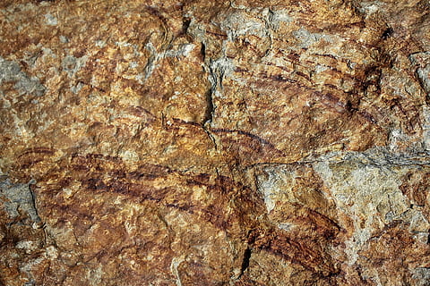 Stone, Texture, Structure, Background, pattern, brown, backgrounds HD wallpaper