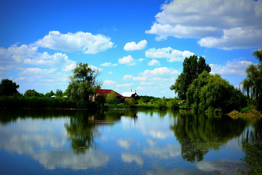 Lake, Willow, Cloud, Mirror, blue, reflection, sky, cloud - sky HD wallpaper