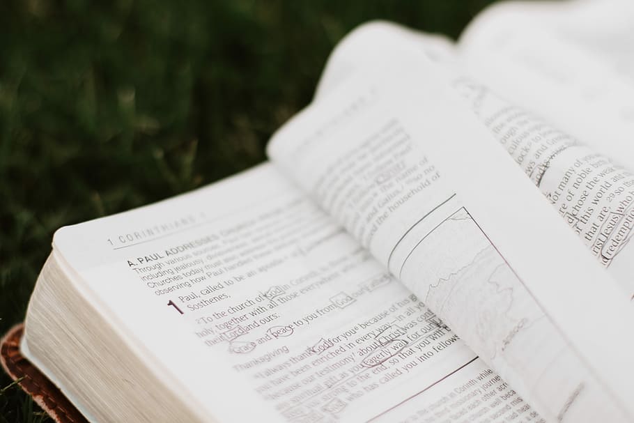 white book pages, open book at daytime, bible, learn, study, outdoors HD wallpaper