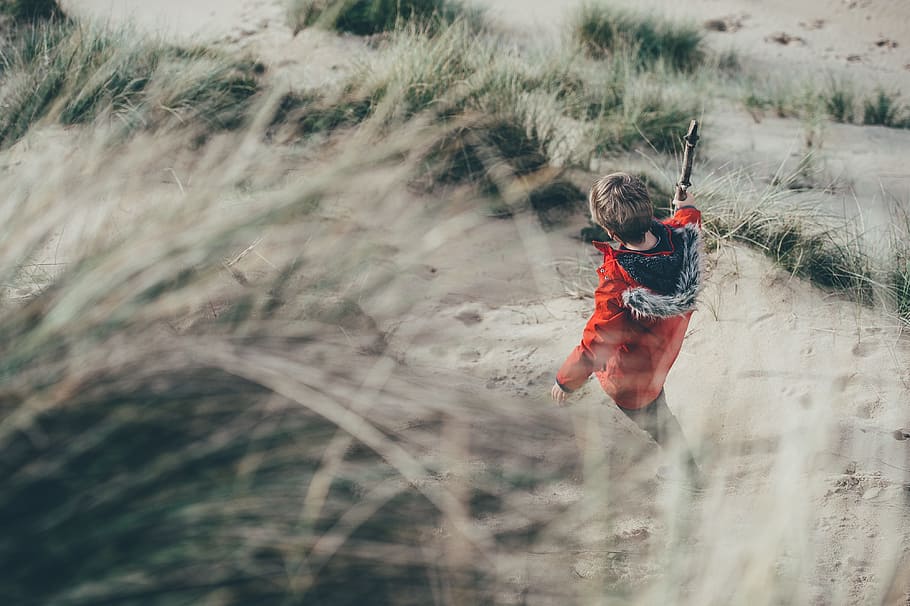 grass, nature, boy, kid, jacket, bokeh, field, adventure, trip HD wallpaper