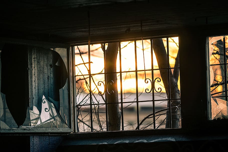 bare trees beside window grill, broke, glass, wall, dirty, texture HD wallpaper