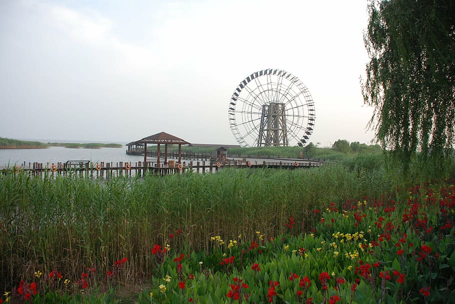 windmill, lake, reed, plant, sky, nature, amusement park ride HD wallpaper