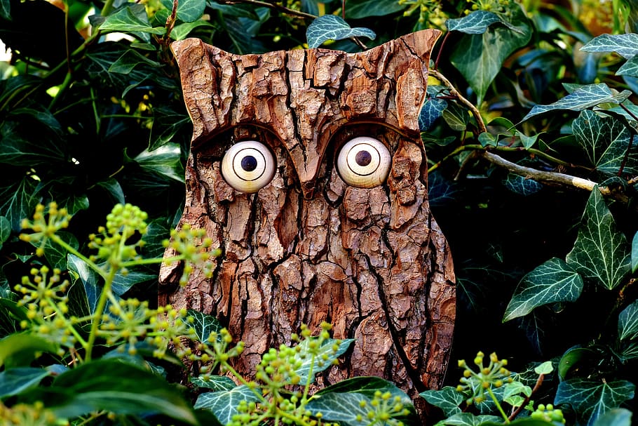 brown wooden owl garden decor, tree bark, nature, eagle owl HD wallpaper