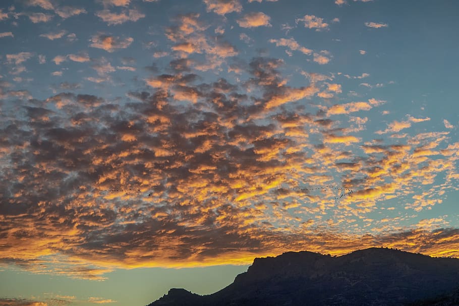 sky, orange, clouds, atmospheric, panorama, beauty in nature HD wallpaper