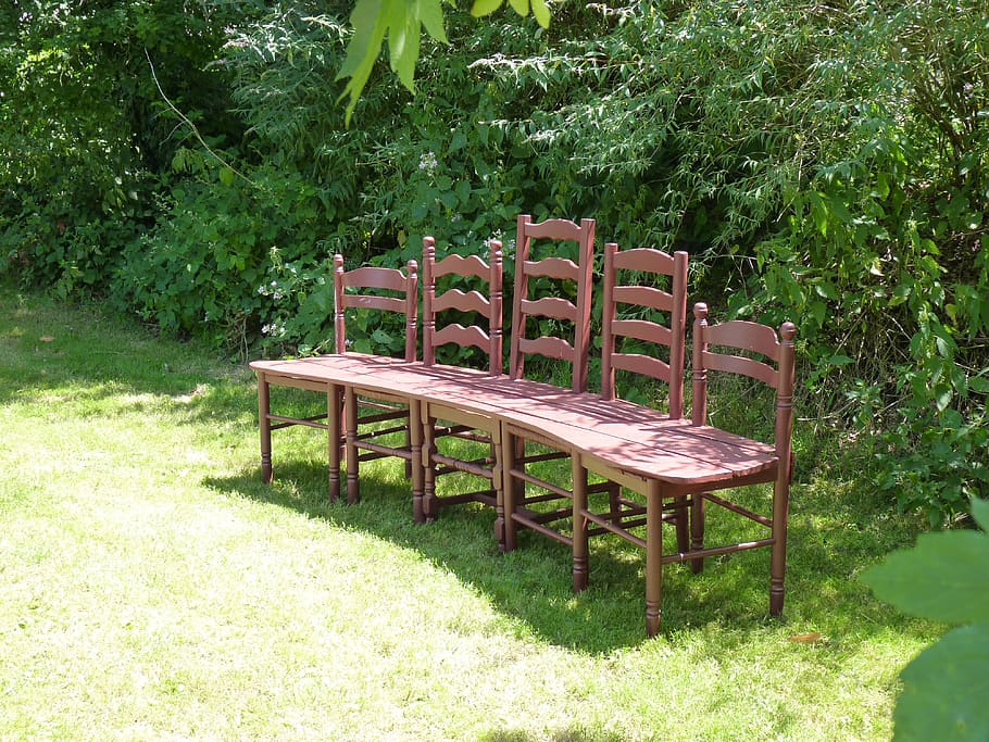 bench, park, nature, plant, seat, chair, growth, green color HD wallpaper