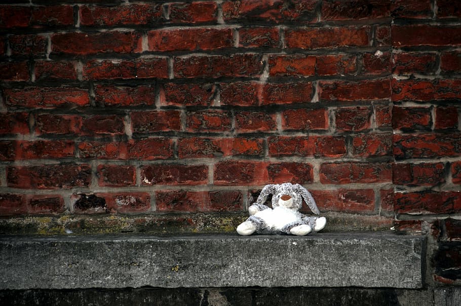 teddy bear, wall, toy, rabbit, only, chair, solitaire, forget it HD wallpaper
