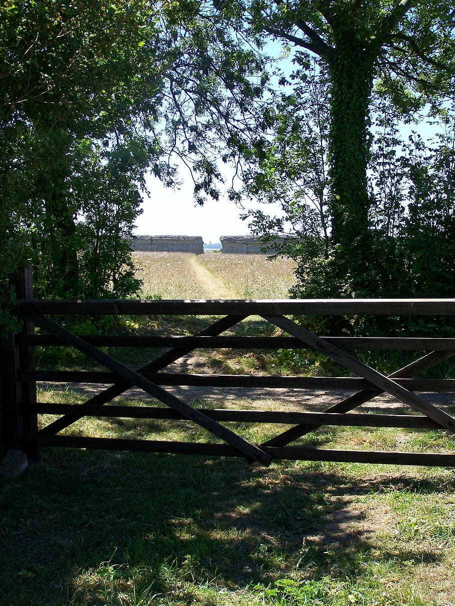 burgh castle, norfolk, gate, plant, tree, nature, no people HD wallpaper