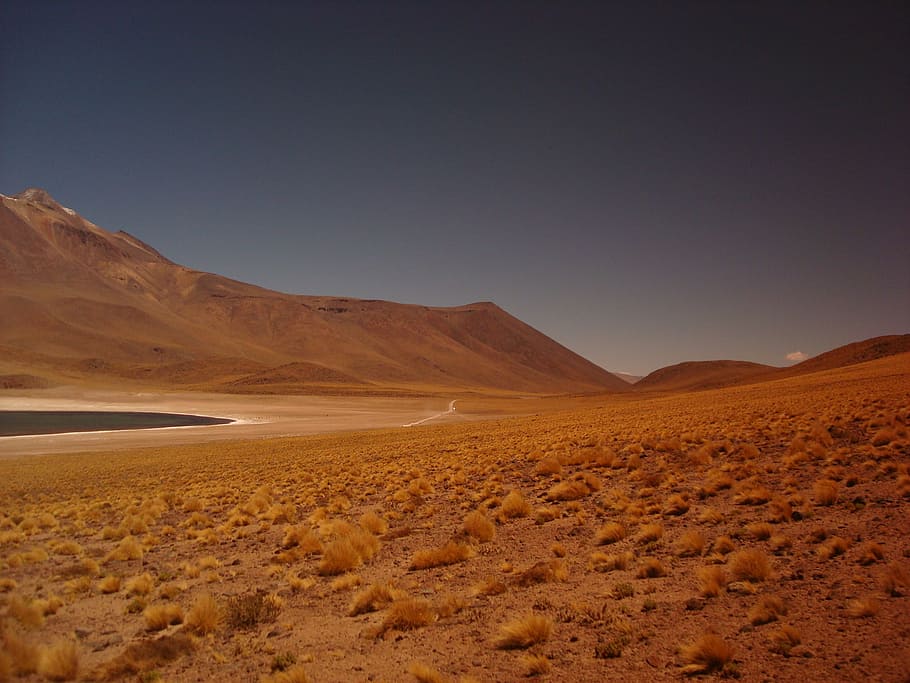 chile, desert, isolated, landscape, mountains, nature, oasis HD wallpaper