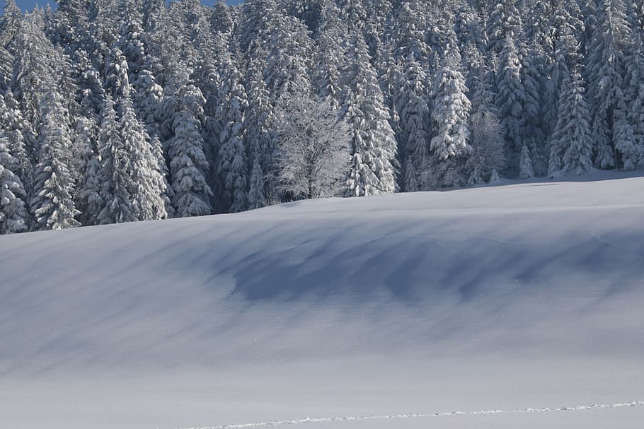 winter, snow, wintry, nature, light, shadow, snow landscape HD wallpaper