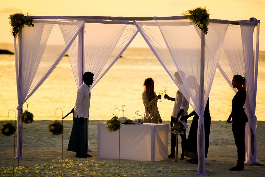 beach, beach wedding, bride, celebration, ceremony, couple, HD wallpaper