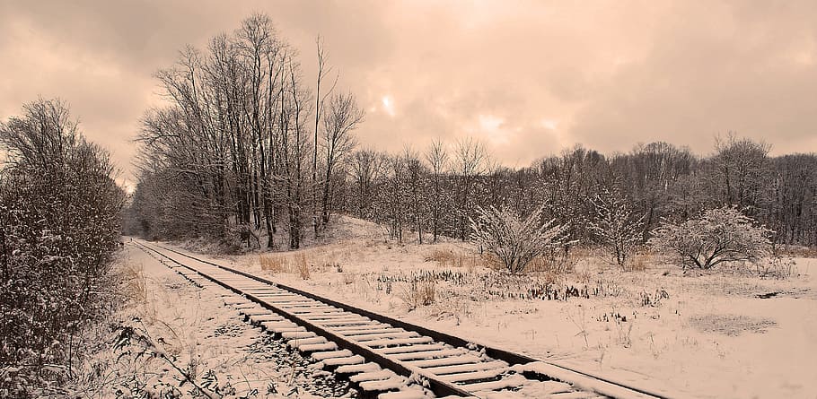 railroad, tracks, perspective, transportation, railway, train HD wallpaper