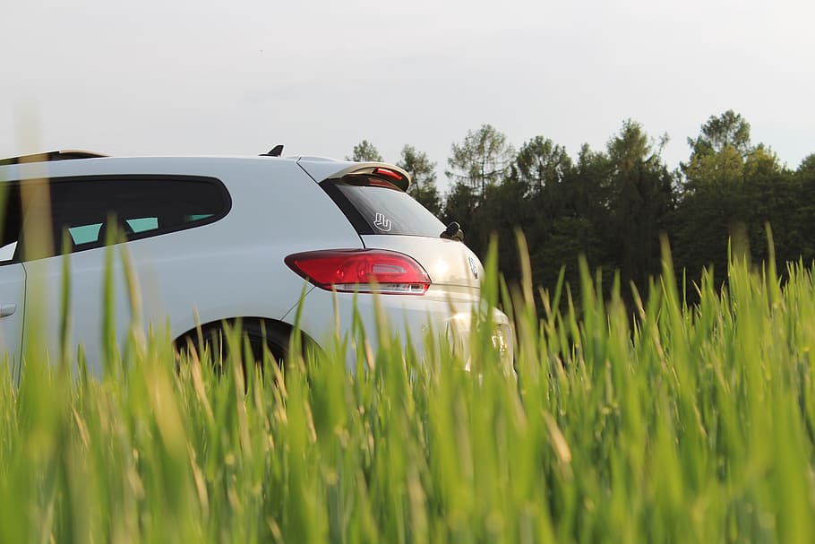 vw, scirocco, auto, field, pkw, dare, vehicle, volkswagen, plant HD wallpaper