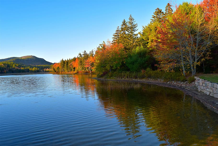 lake, trees, foliage, wall, reflection, nature, landscape, water HD wallpaper